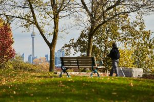 A park near Humber Bay Shores, ON