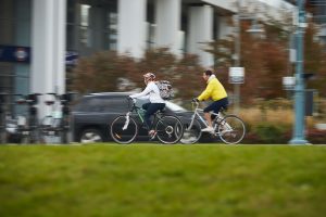 People riding bikes near Humber Bay Shores, ON