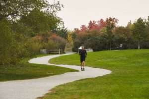 A park near Humber Bay Shores, ON