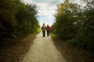 A park near Humber Bay Shores, ON