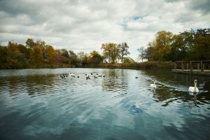 A park near Humber Bay Shores, ON