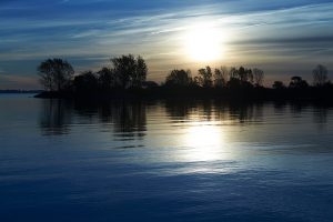 A park near Humber Bay Shores, ON