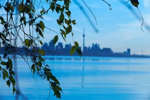 A view of the CN Tower from Humber Bay Shores, ON