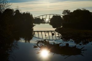 A park near Humber Bay Shores, ON