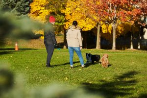 A park near Humber Bay Shores, ON