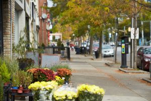 A street near Humber Bay Shores, ON