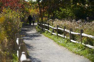 Park, Toronto, ON